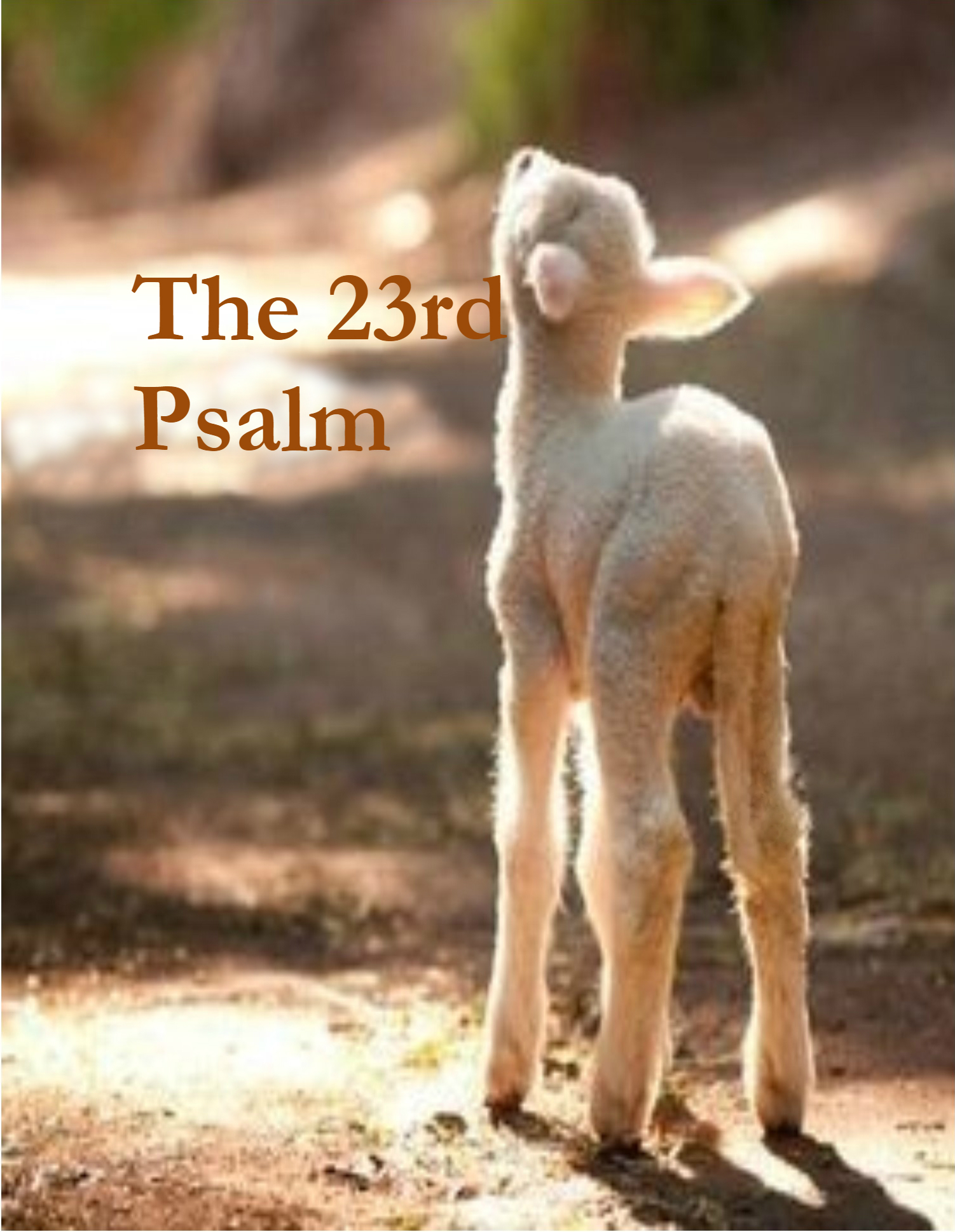 The 23rd Psalm