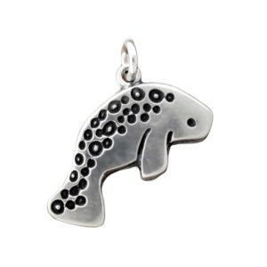 Sterling Silver Charms